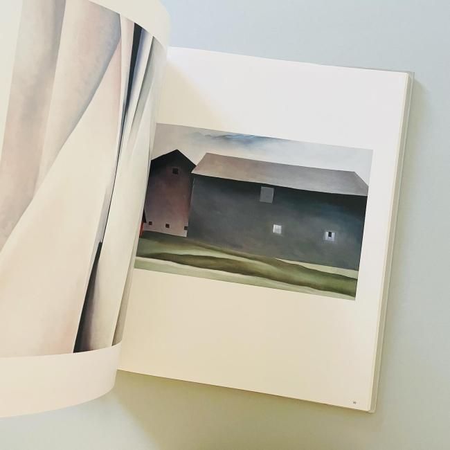 ニューヨーク・イヤーズ オキーフ画集｜ジョージア・オキーフ Georgia