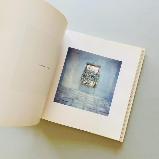 BERNARD FAUCON : JOURS D'IMAGE 1977-1995 ベルナール・フォコン作品集