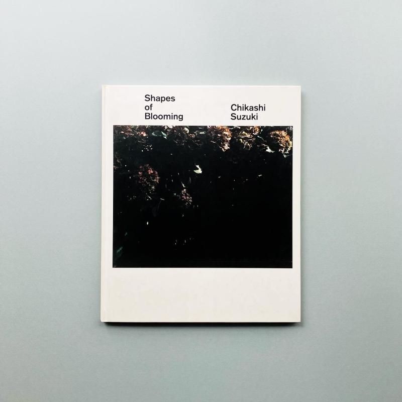 Shapes of Blooming｜鈴木親 Chikashi Suzuki