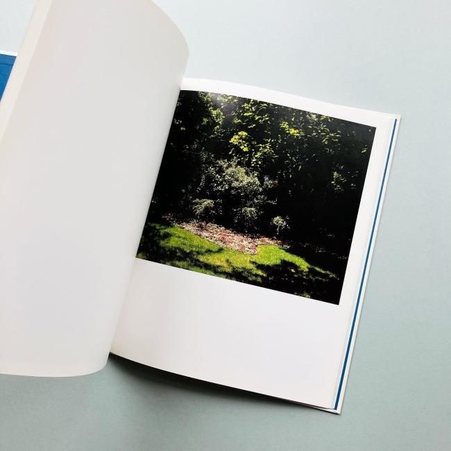 Shapes of Blooming｜鈴木親 Chikashi Suzuki