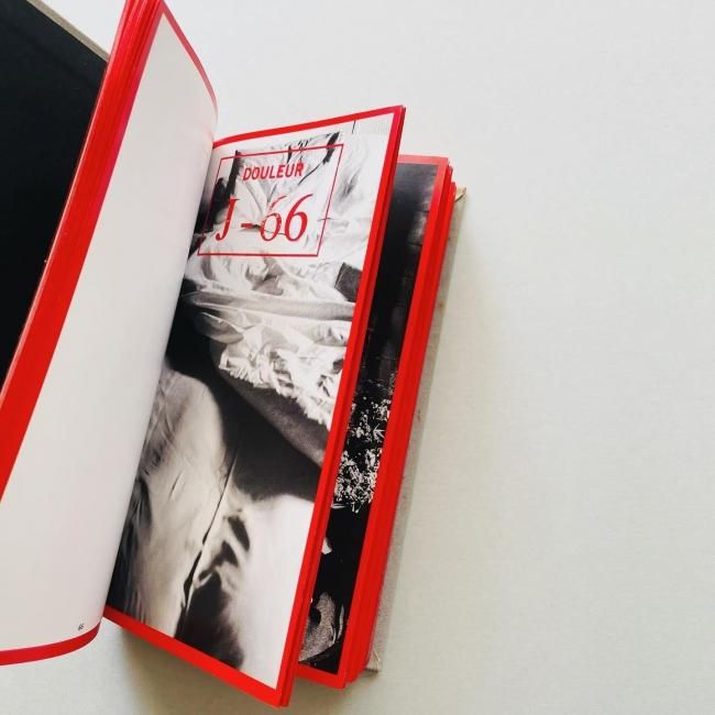 Sophie Calle Douleur exquise ソフィ・カル 限局性激痛