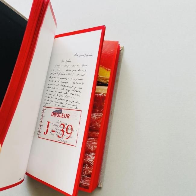 Sophie Calle Douleur exquise ソフィ・カル 限局性激痛