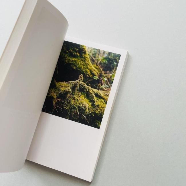 The Mushroom Collector | Jason Fulford ジェイソン・フルフォード