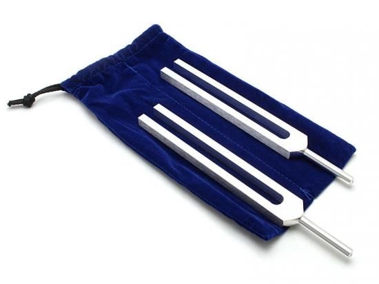 BIOSONICS社正規品】シューマンブレインチューナーTM (2本入) - GRAN