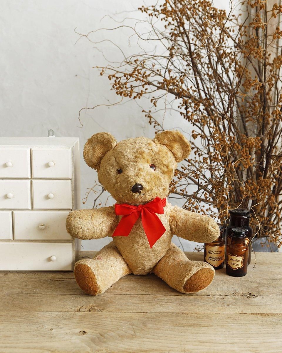 フランスアンティーク ぬいぐるみ”テディベア”.3 | Antiques Knock