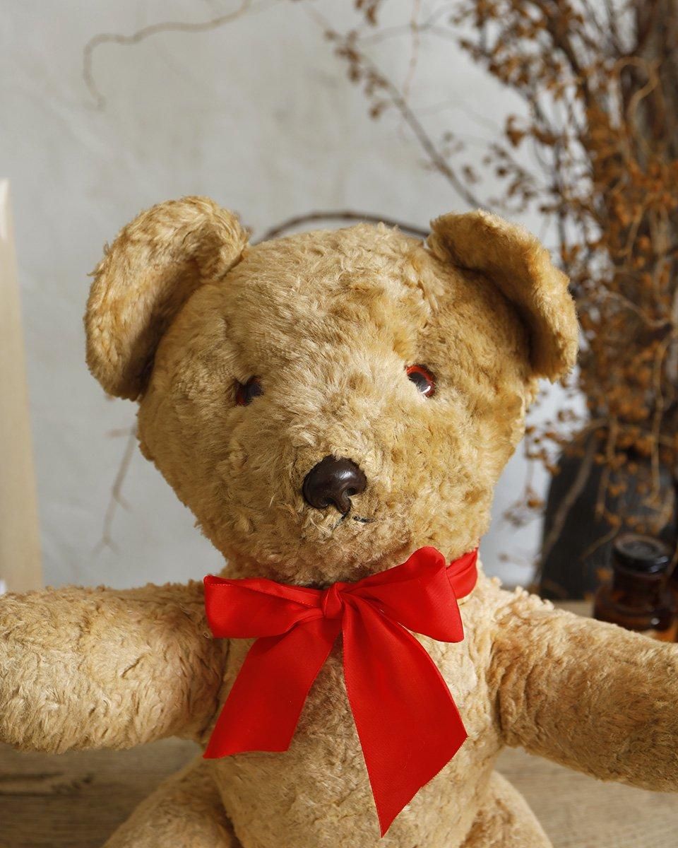 フランスアンティーク ぬいぐるみ”テディベア”.3 | Antiques Knock