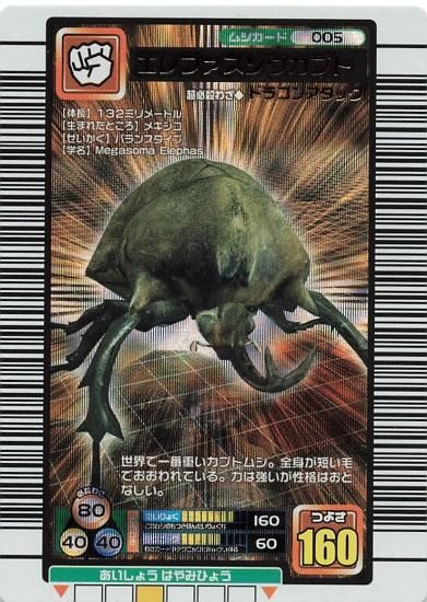 甲虫王者 ムシキング エレファスゾウカブト 005 - トレーディング