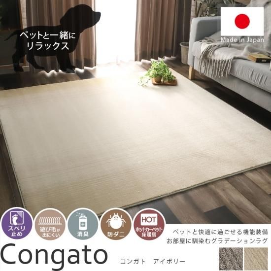 日本製 防ダニ加工付！ペットと快適に過ごせるラグ 『コンガト