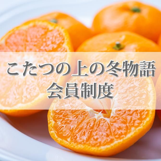 ポンカン - Orangestoreニノミヤ｜愛媛の柑橘農家から旬のみかんをお