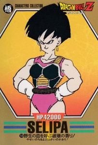 ドラゴンボール キャラクターズコレクション カードダス - 【カード