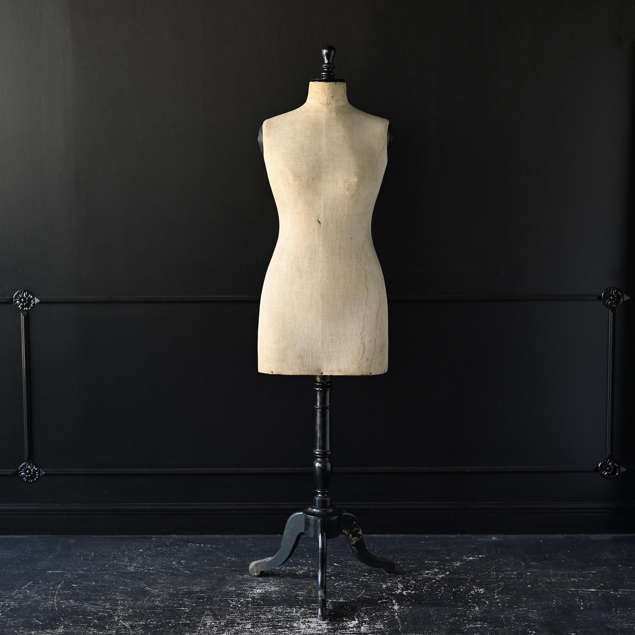 アンティークトルソー・3/stockman ストックマン Sibora【シボラ】