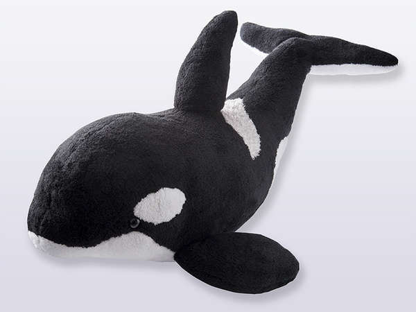 当館人気】シャチ80㎝ぬいぐるみ1つ付プラン！鴨川シーワールド公式