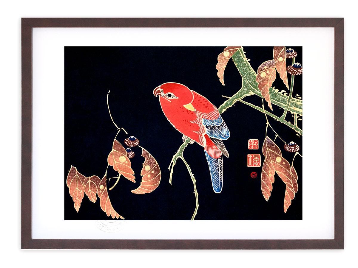 版画 絵画 名画 日本画 櫟に鸚哥図 伊藤若冲 インテリア 壁掛け 額入り