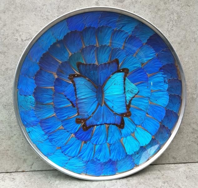 ブラジル モルフォ蝶 インテリア クラフト-メキシコ雑貨と民芸品