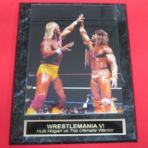 WWE クラシックホーガンVSアルティメットウォリアーレッスルマニア6