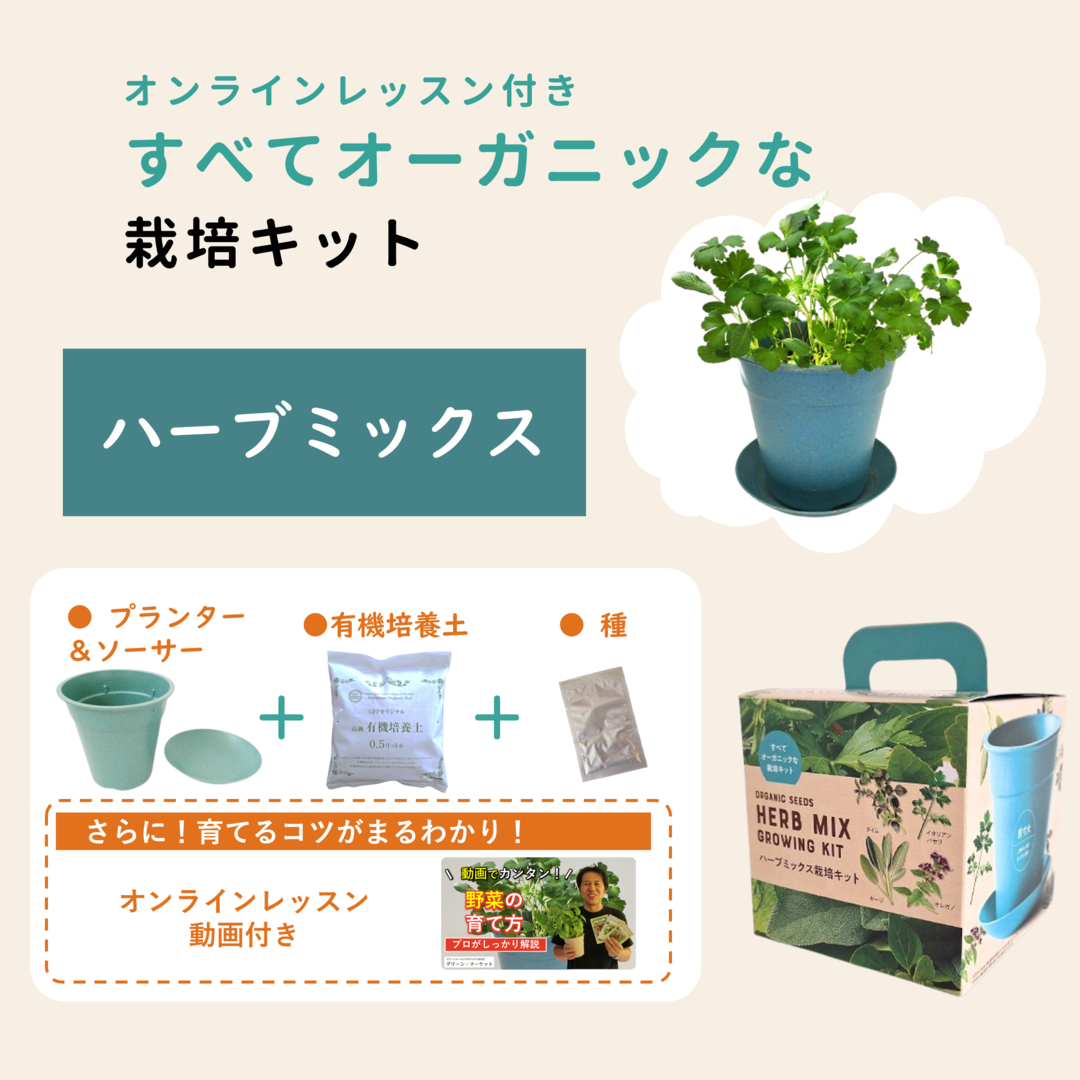 オンラインレッスン付き栽培セット ハーブミックスの通販｜グリーン