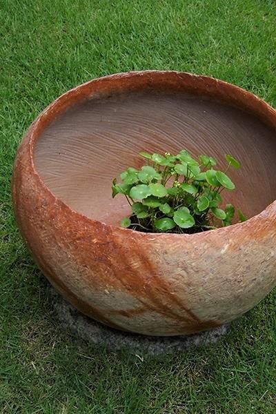 花ほうろ特注・備前睡蓮鉢 涼やかな一鉢に