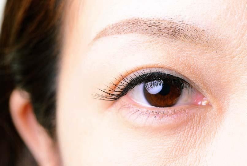 持続性が高い・ビューラー仕上げ Lカール｜ビュプロ