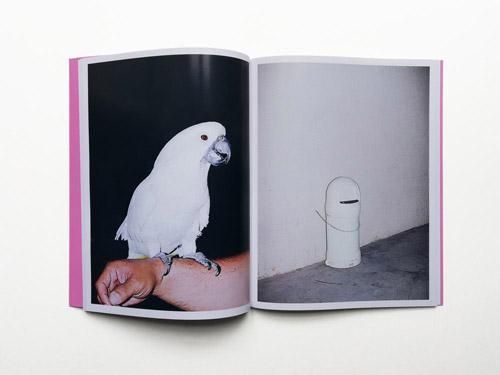 田中ひろ: Chicharron