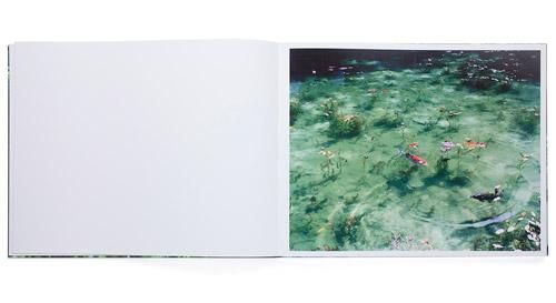 鈴木理策 | Risaku Suzuki: Water Mirror