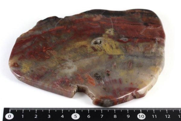 珪化木(木化石) 原石 磨き 211g｜天然石通販キラリ石