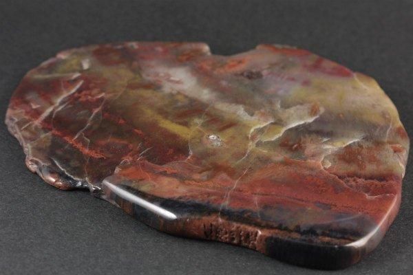 珪化木(木化石) 原石 磨き 211g｜天然石通販キラリ石