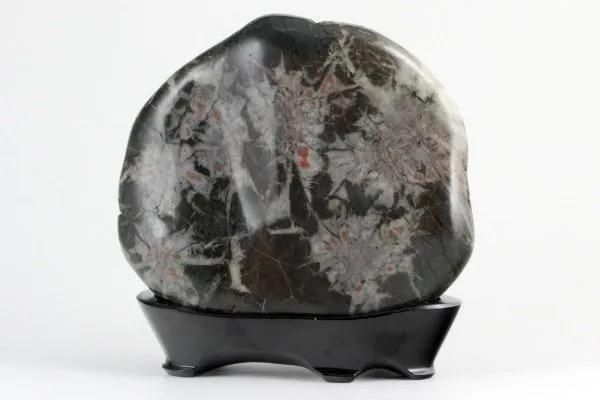 根尾谷産 菊花石 263g｜国産天然石 通販キラリ石