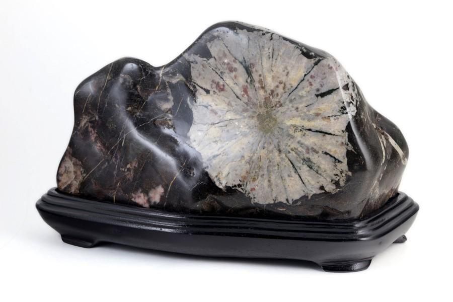 根尾谷産 菊花石 置石 2.0kg｜国産 原石 通販 キラリ石