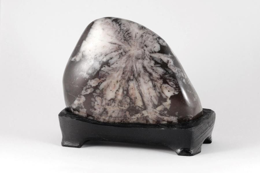 根尾谷産 菊花石 497g 国産｜天然石 通販キラリ石