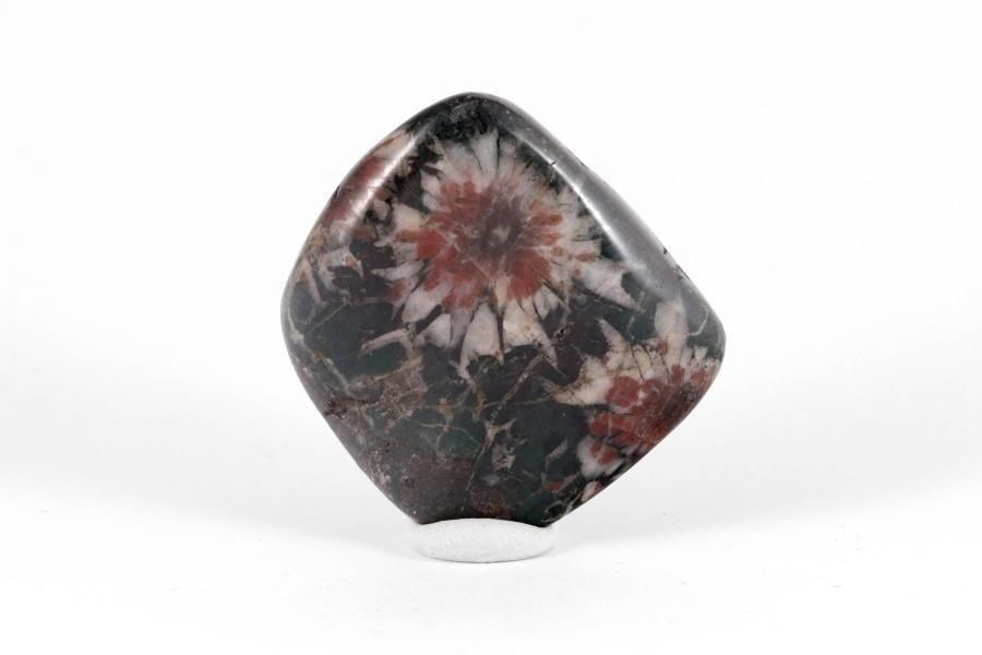 根尾谷産 菊花石 242g｜国産 原石 通販 キラリ石