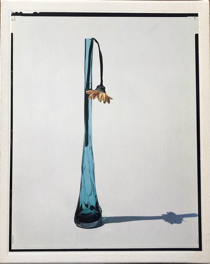 flowers / 上田義彦 - books used and new, flower works : blackbird