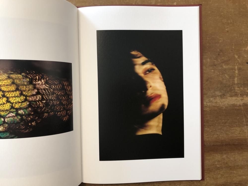 Epiphany / Shinpei Yamagami 山上新平(Signed サイン入) - books used