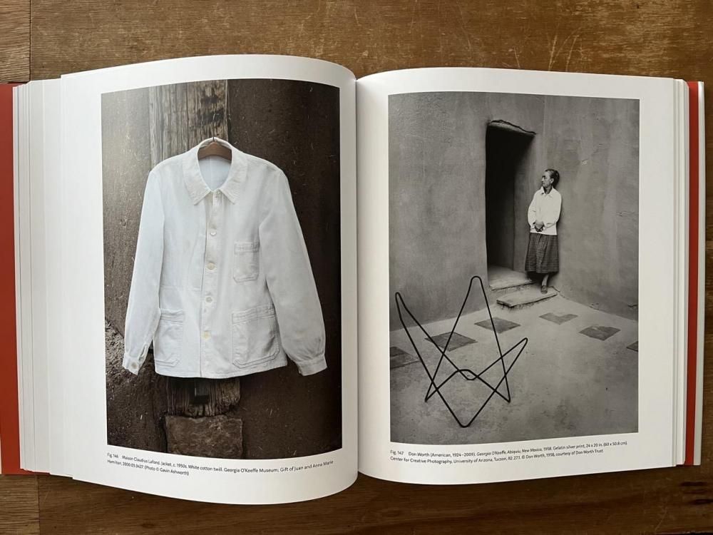 GEORGIA O'KEEFFE / LIVING MODERN ジョージア・オキーフ - books used