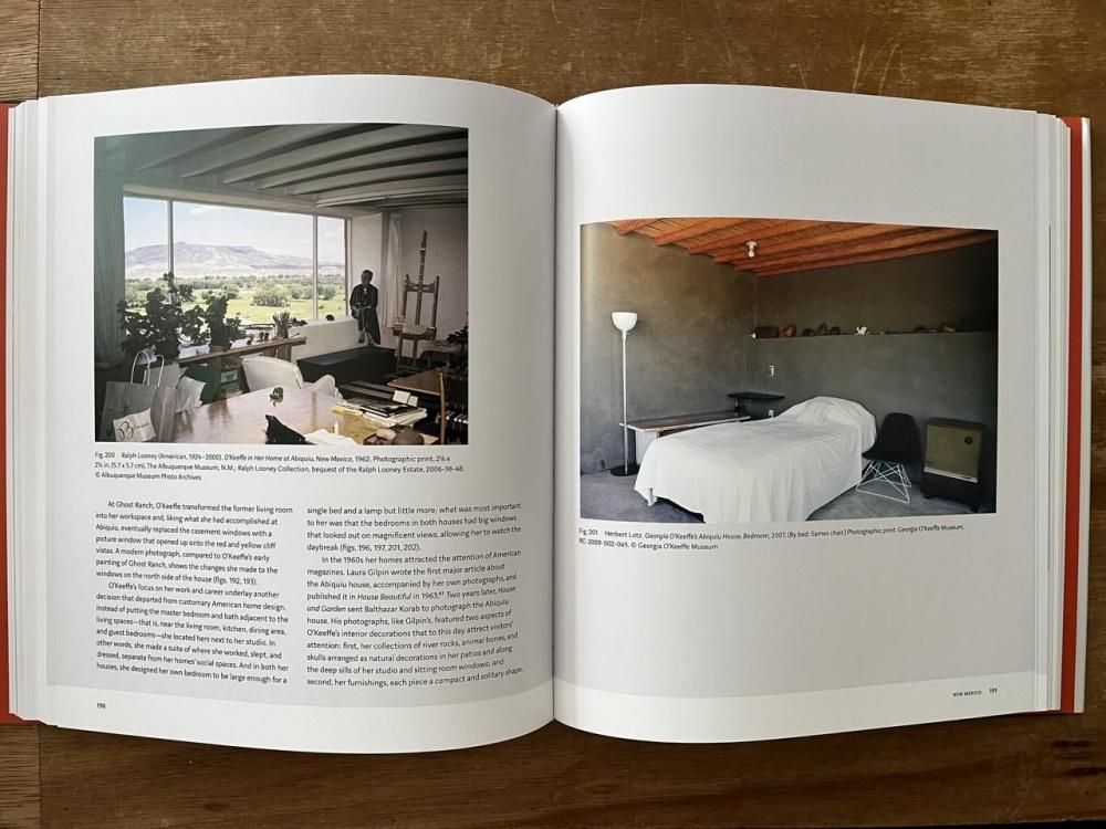 GEORGIA O'KEEFFE / LIVING MODERN ジョージア・オキーフ - books used