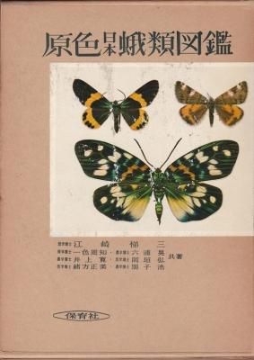 原色日本蝶類図鑑 - books used and new, flower works : blackbird
