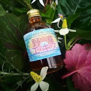 アマヤマ草庵の野草エキス 無農薬 野草 薬草 薬効万能 (50ml)