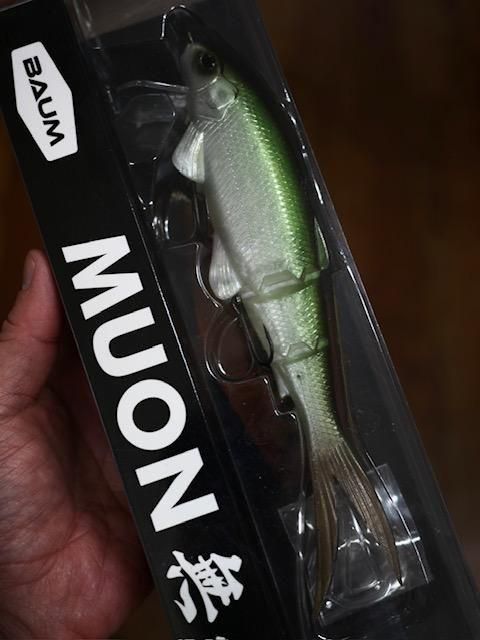 お一人様2個まで！】【予約販売】バウム/MUON [無音]【1月末頃入荷予定