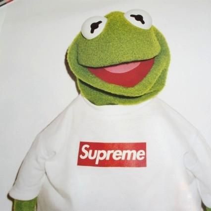 Supreme Kermit Poster - Supreme 通販 Online Shop A-1 RECORD