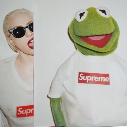 Supreme Kermit Poster - Supreme 通販 Online Shop A-1 RECORD