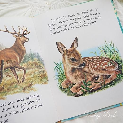 フランス 1970年 ヴィンテージ絵本 うさぎ 子鹿 小鳥 ハリネズミ 児童