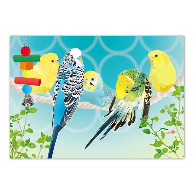 絵画 (仏美術品) エッチング：Blue Parakeet (青い小鳥•インコ) 絵画