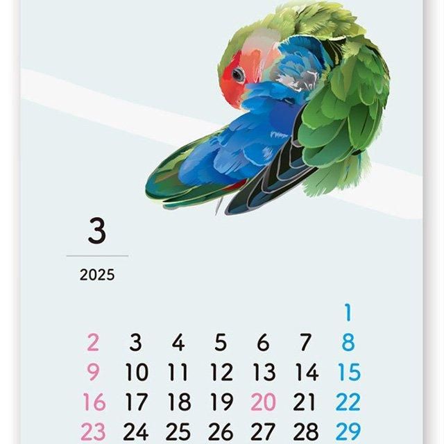 生産終了】「2025年版 / カレンダー / A4壁掛けタイプ / とりアート