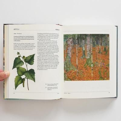 The Secret Language of Plants: Art, Nature & Symbolism】 - 京都に