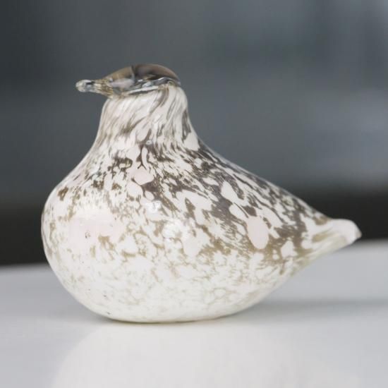 OIVA TOIKKA Bird kiiruna ptarmigan 雷鳥