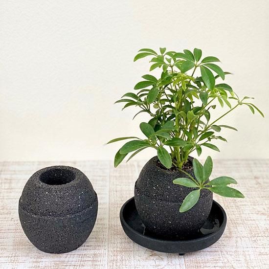 アクアプラントポットの通信販売 | 水やりが楽になる鉢 | LOHAS PLAZA