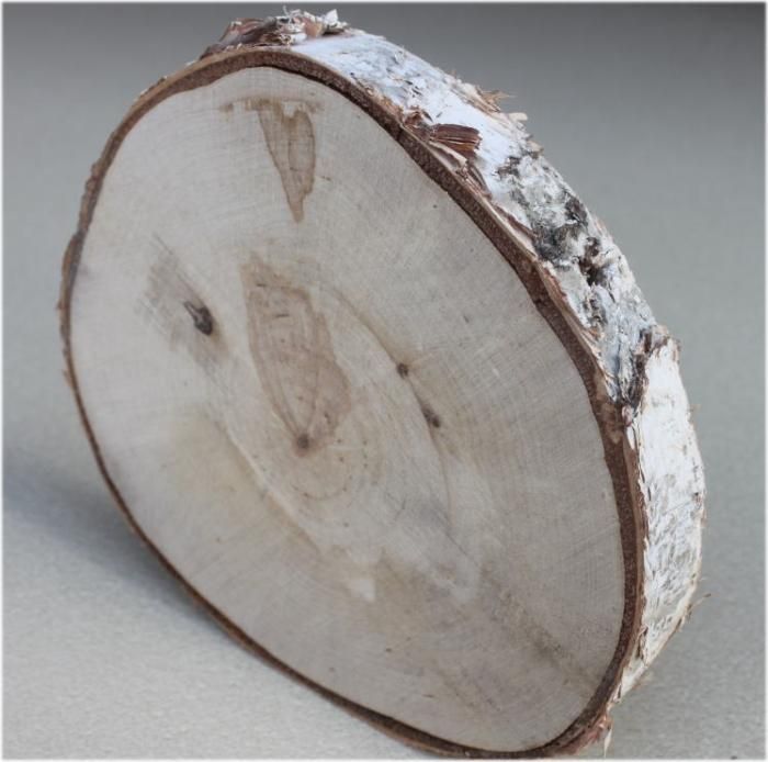 木の年輪板 白樺 樹皮つき mサイズ（130～180mm）