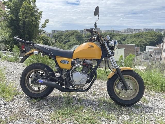 APE カスタム レトロステージスリップオンマフラー - nakazawa