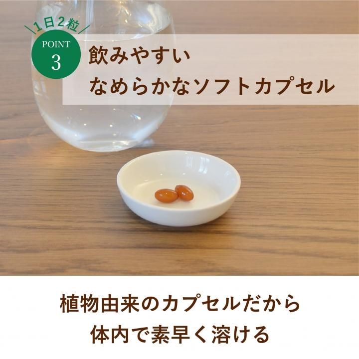 納豆キナーゼ+DHA・EPA さらさら習慣サポートサプリメント 60g (約120