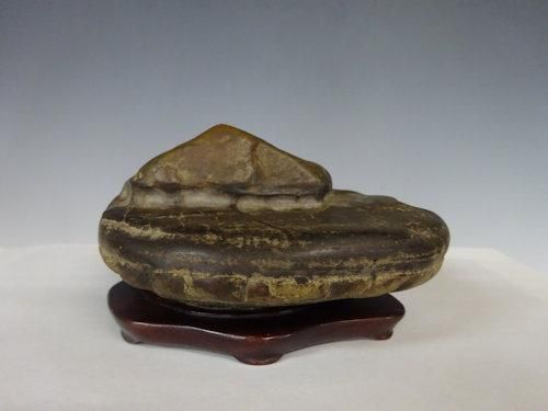 瀬田川虎石【 水石 20 ― 0 9 】 - 小品盆栽専門店 湘風園オンライン