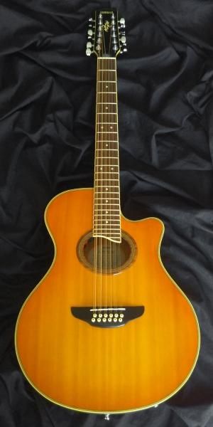 中古】YAMAHA APX-9-12 エレアコ 12弦ギター - 中古楽器の販売 ロト
